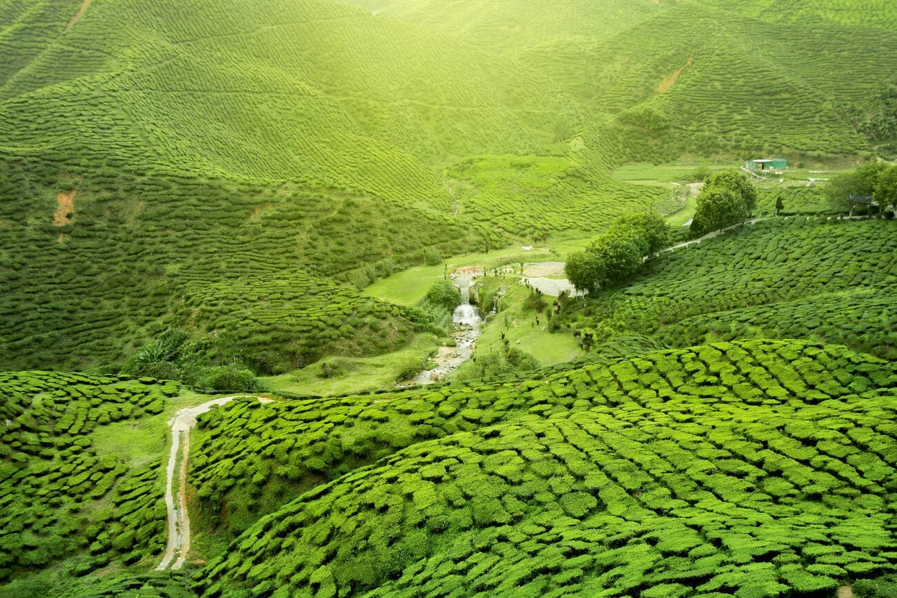 লাংকুৰি দ’ল আৰু ৰঙাগড়া দেওশাল