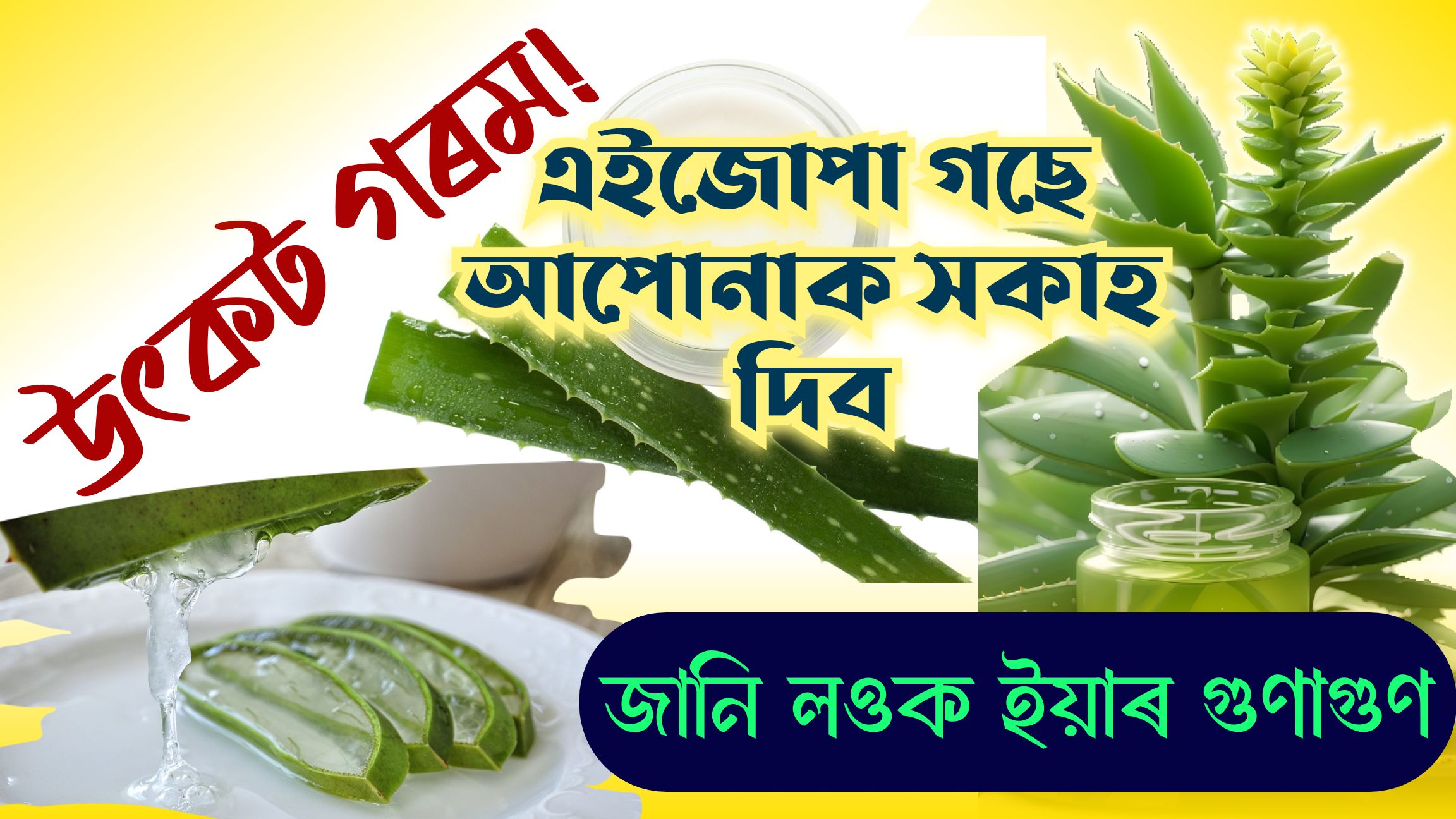 গৰমৰ দিনত এইজোপা গছে দিব পৰিত্ৰাণ