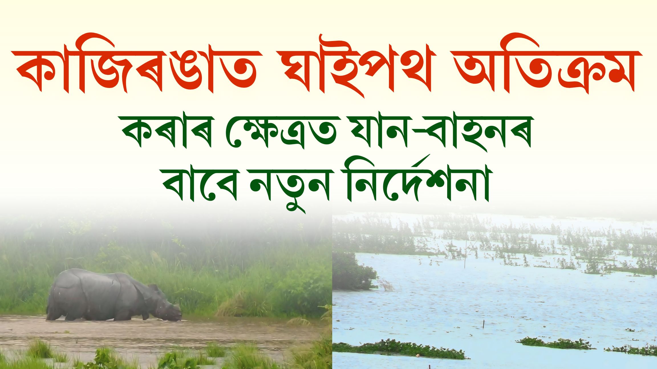 বানৰ সময়ত কাজিৰঙাৰ ঘাইপথ অতিক্ৰমৰ ক্ষেত্ৰত পুনৰ নতুন নিৰ্দেশনা