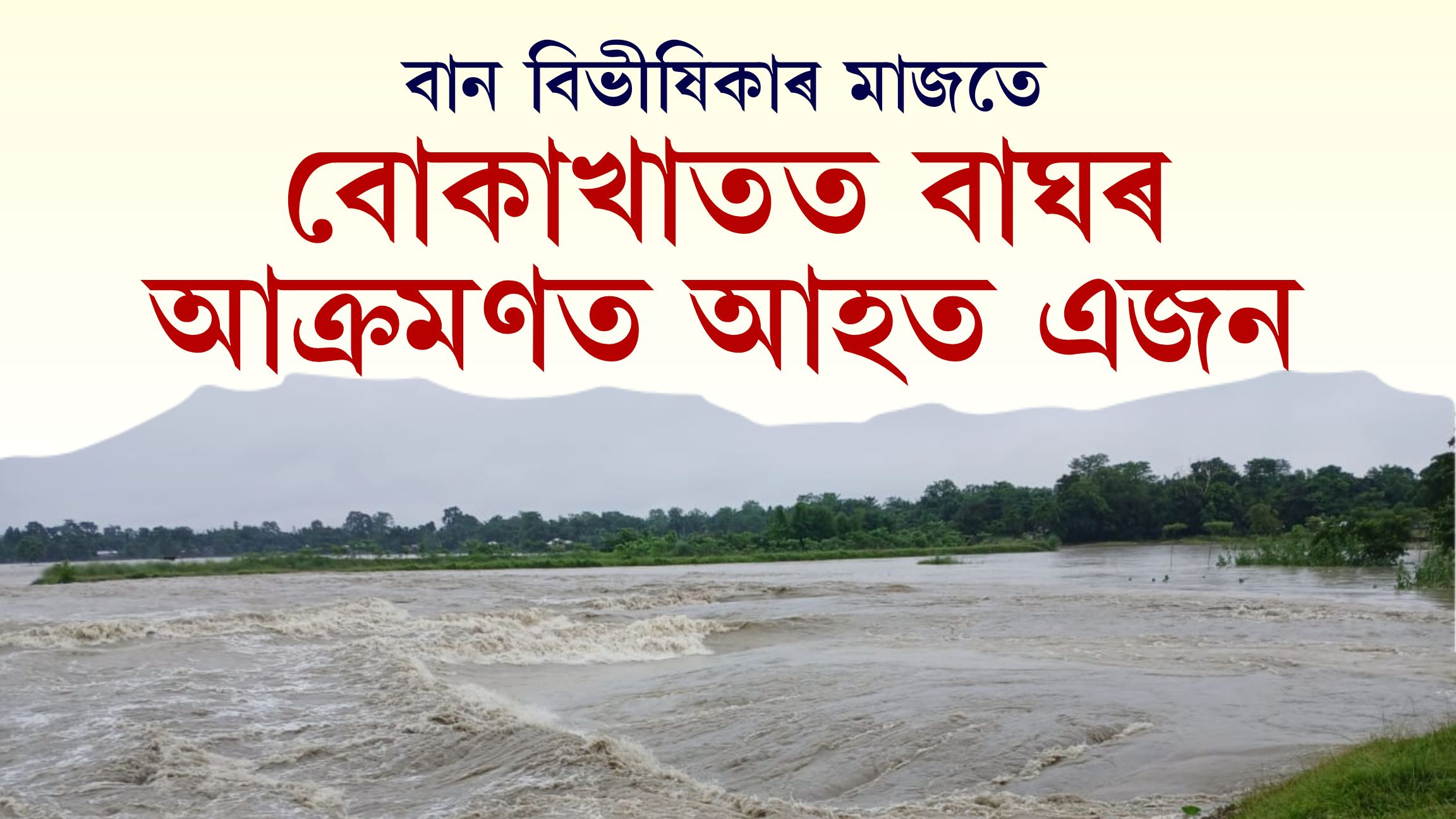 বোকাখাতত বাঘৰ আক্ৰমণত আহত এজন