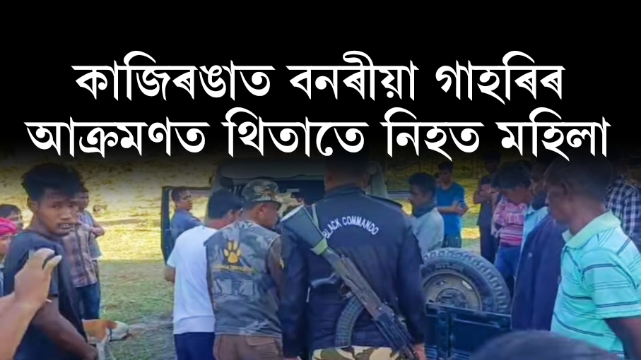 কাজিৰঙাৰ অগৰাতলীত বনৰীয়া গাহৰিৰ আক্ৰমণত থিতাতে নিহত মহিলা